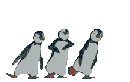 penguin6.gif (21310 Byte)